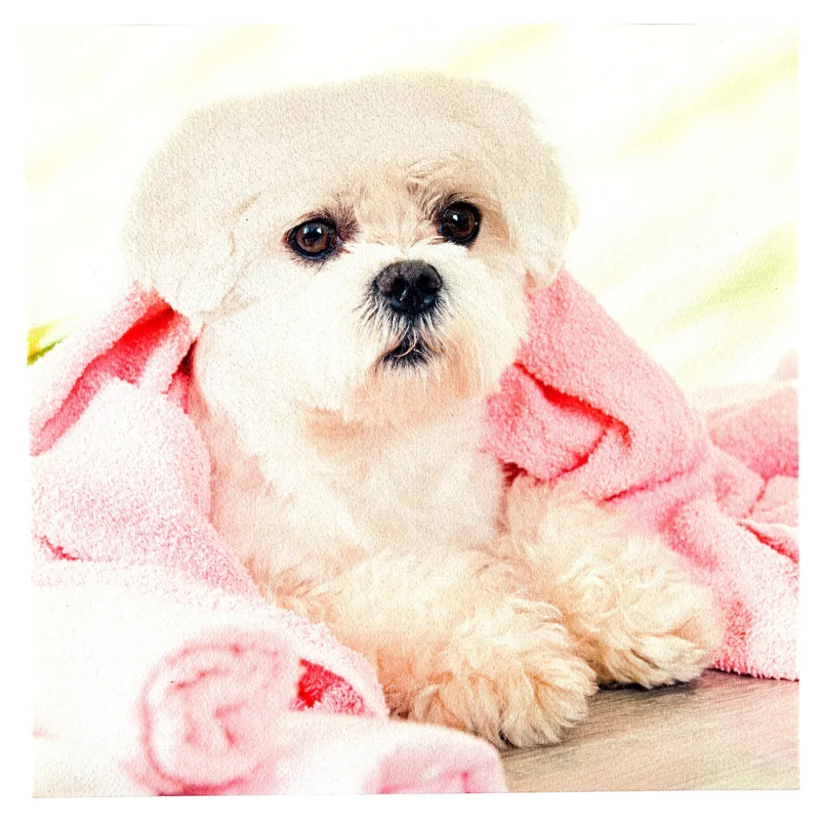 Anti-Rutsch-Auflage Hund