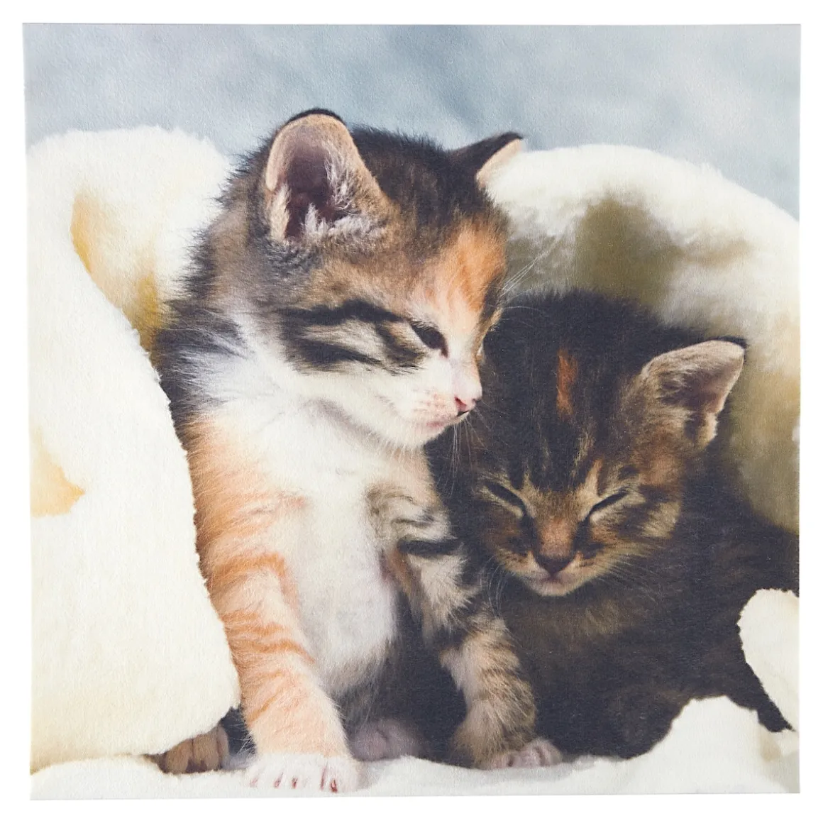 Anti-Rutsch-Auflage Kätzchen