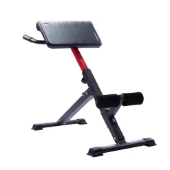 Bauch- und Rückentrainer AB 1000