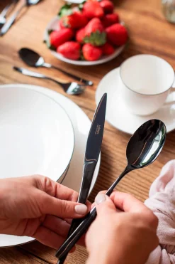 Besteck-Set, Edelstahl Nigran