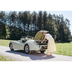 Carbon Rollator inklusive Tasche, faltbar British Racing Green