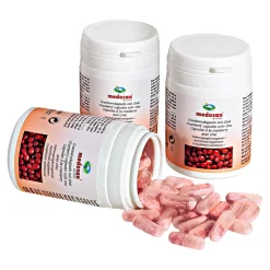 Cranberry Kapseln, 60 Stück, 19 g