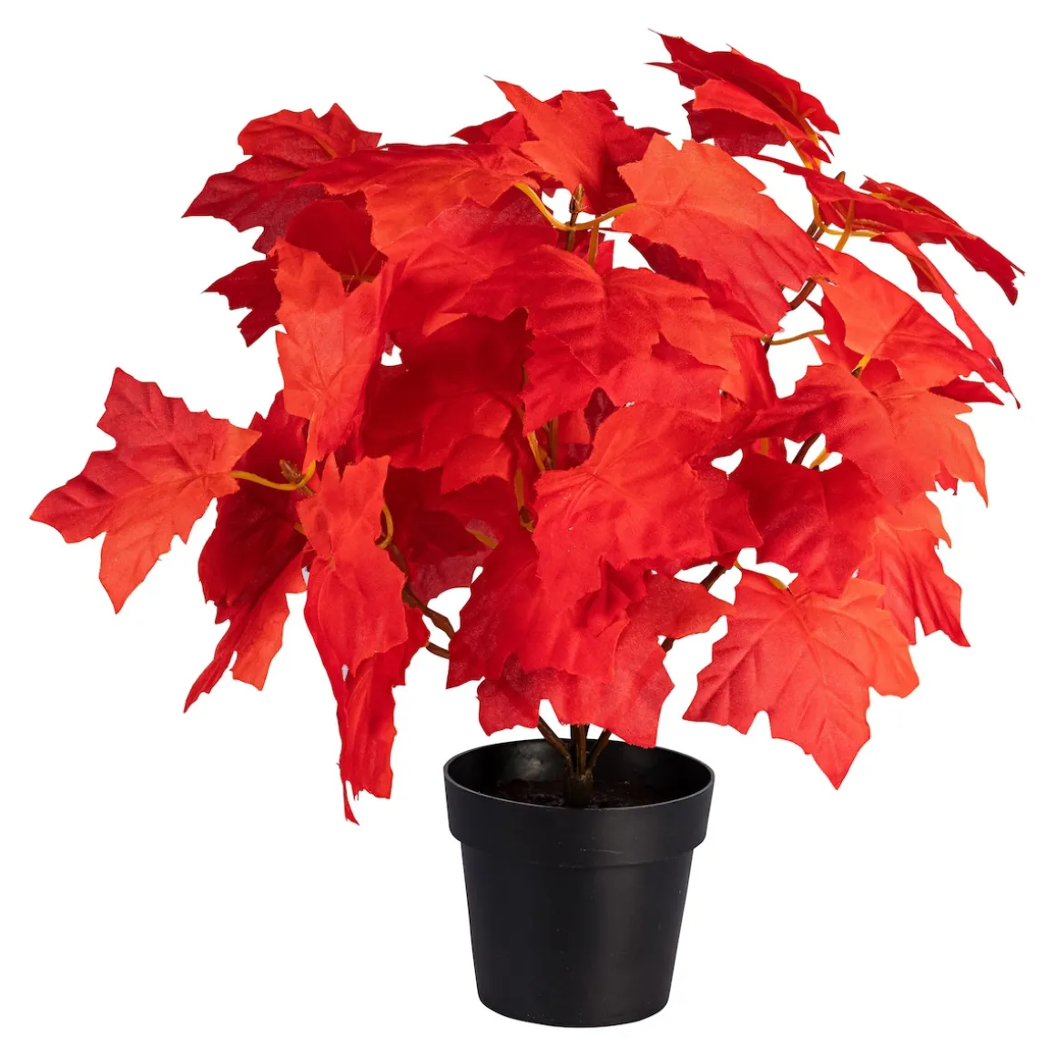 Deko-Ahornbäumchen rot