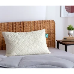 f.a.n. Dinkelkissen 040x060