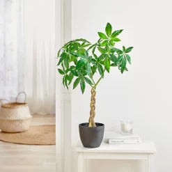 Kunstpflanze mit Flechtstamm