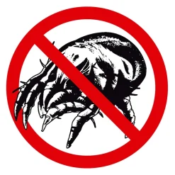 Leichtsteppbett Trockenes Schlafklima 155x220 cm