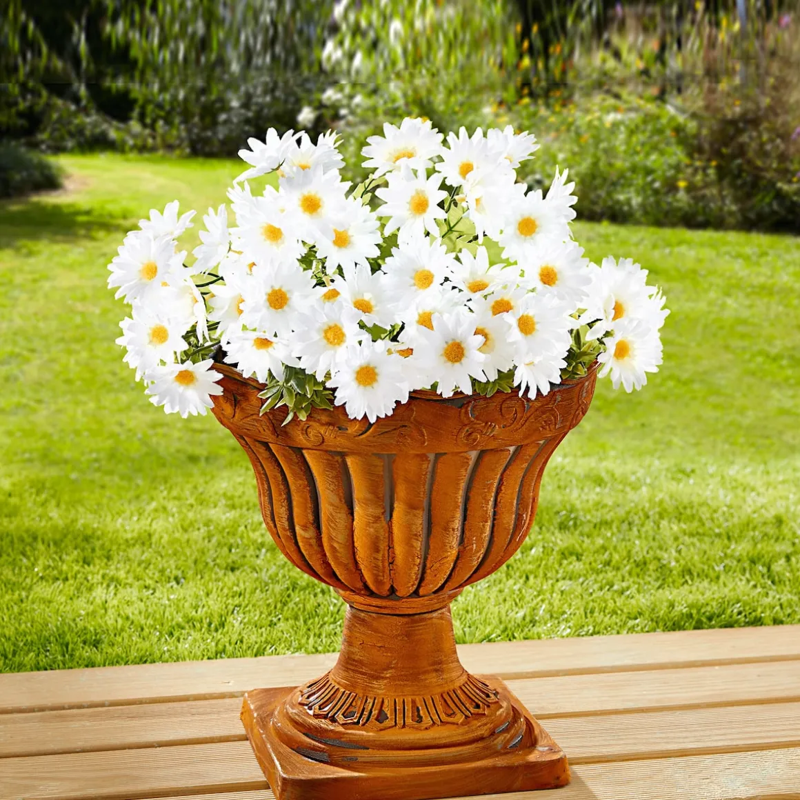 Margeritenbusch weiß