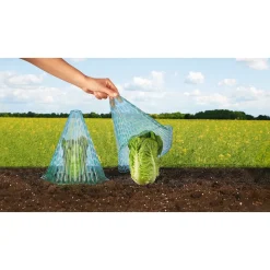 Pflanzhaube, 10 Stück