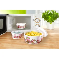 Porzellan-Frischhaltedosen-Set