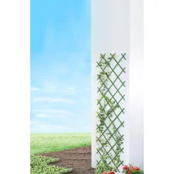 Rank-Spalier "Variabel" grün