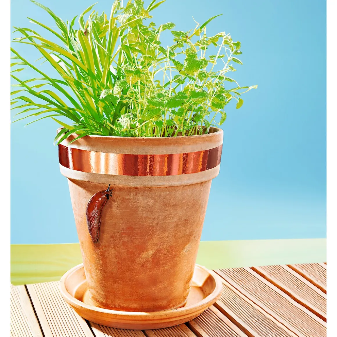 Schneckenstopp-Band, 4,5 m