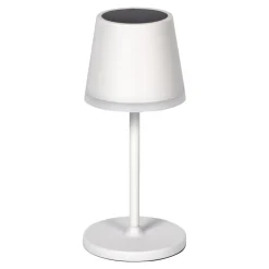 Solar-Gartenstecker 2 in 1 