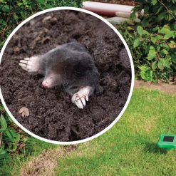 Solar-Maulwurfschreck