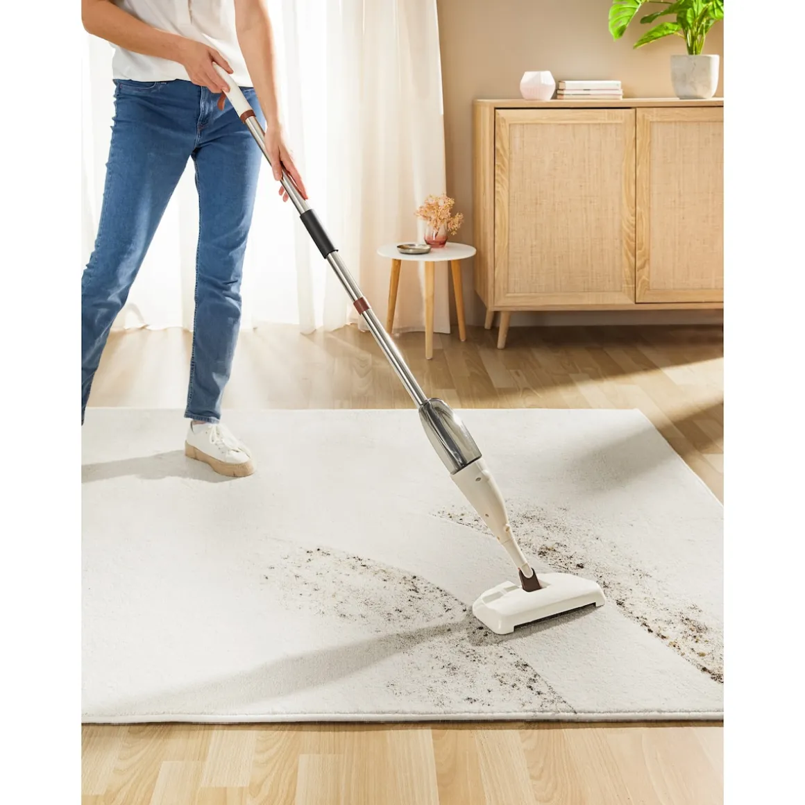 Sprühwischer & Teppichkehrer