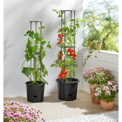 Tomaten-Pflanztopf mit Rankhilfe L (ØxH): 35x128 cm