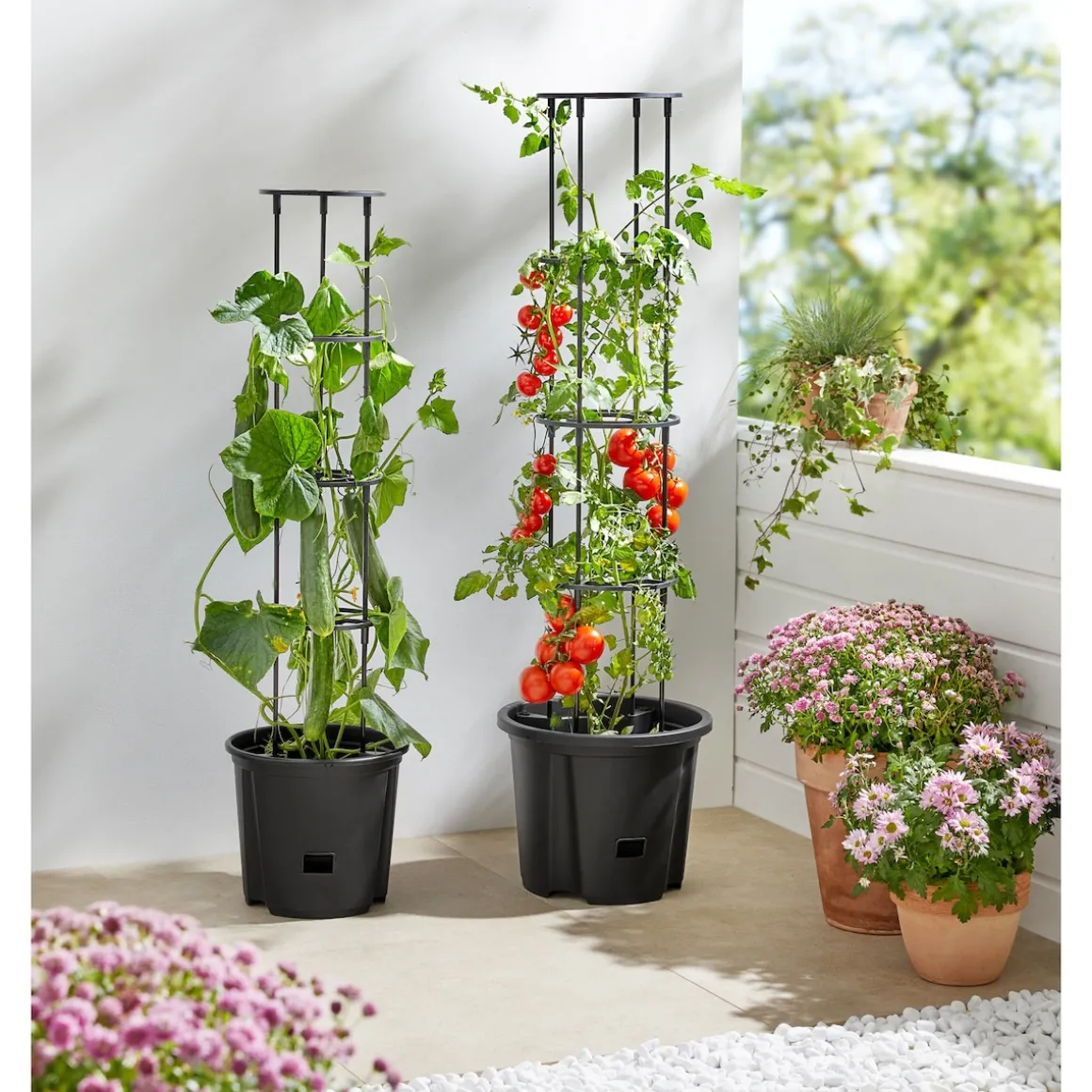 Tomaten-Pflanztopf mit Rankhilfe M (ØxH): 30x115 cm