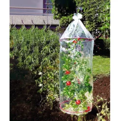 Tomaten-Schutzhaube, 3 Stück