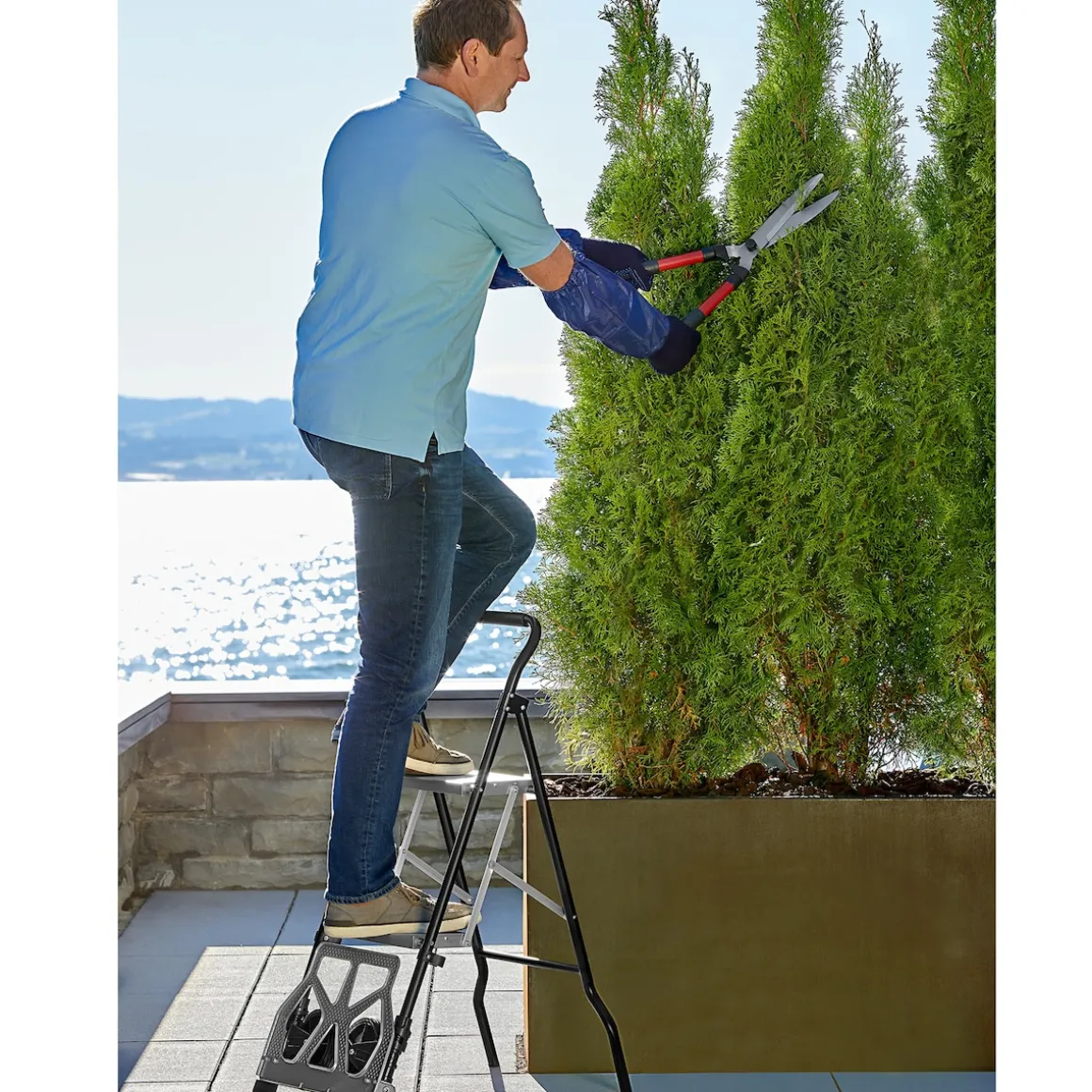 Trittlasten-Trolley, Trittleiter 2 Stufen "2 in 1"