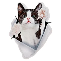 Wandsticker "tierische Freunde" Katze, schwarz-weiß